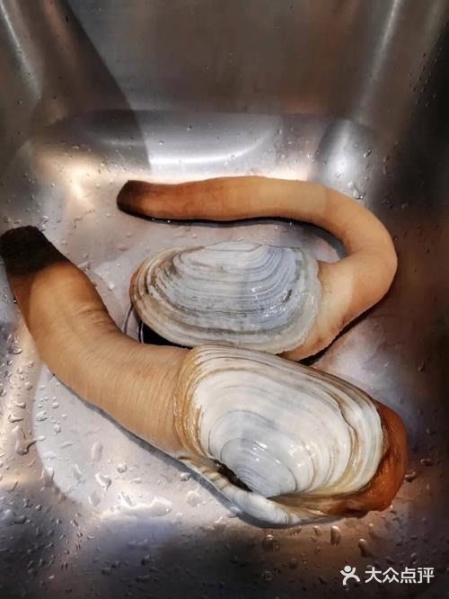 今日份海味，鲜嫩又多汁