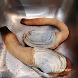 今日份海味，鲜嫩又多汁
