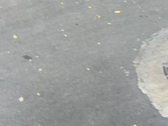 -曾仔竹升面