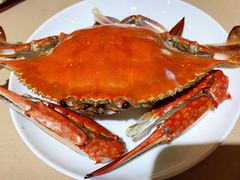 长脐海蟹-鹏天阁酒楼·海鲜(红旗店)