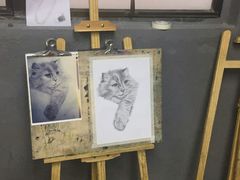 -黑骏画室·深圳美术中高考黄埔军校