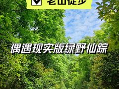 -老山国家森林公园