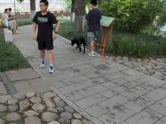 -成都市活水公园
