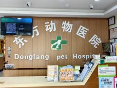-东方动物医院·宠保定点·骨科·转诊中心(春城路·昆明站分院)