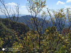 -王顺山国家森林公园