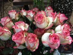 -卓花境Flowerwonderland花店