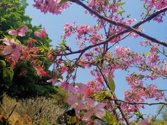 -桃花涧