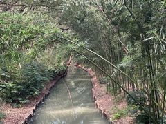 -同里国家湿地公园