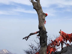 -华山风景名胜区