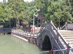 -玉苍山国家森林公园
