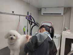 -汪小喵宠物·戴维斯乐芳希施宠馨宝皮毛调理洗护店