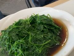 -海金滋(陕西南路店)