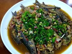-全乐鱼馆·淳牌有机鱼直营店
