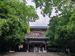-灵谷景区