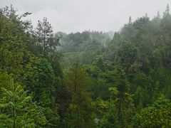 -梭布垭石林景区