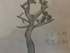 -上海第一八佰伴