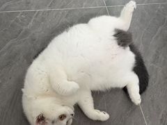 -松岗(地铁站)