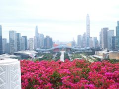 -荔枝公园-小平画像广场
