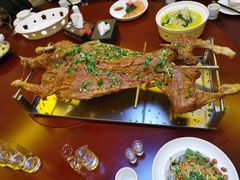 -杨正宗烤全羊(北二环店)