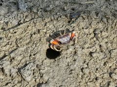 -北海金海湾红树林生态旅游区
