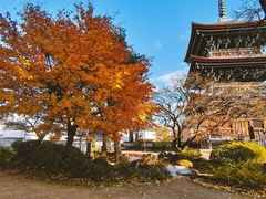 -医王山·飞騨国分寺
