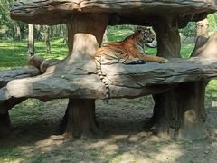 -北京野生动物园