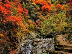 -秦岭终南山世界地质公园翠华山景区