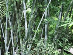 -国恩寺