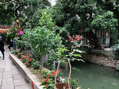 -小洲村