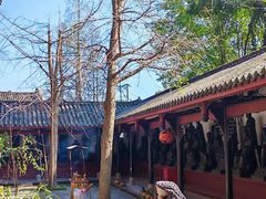 -黄龙溪古镇-古龙寺