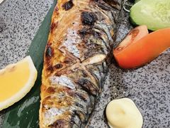 -禾绿寿司·定食·拉面·烧炸(喜荟城店)