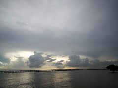 -宝安西湾红树林湿地公园