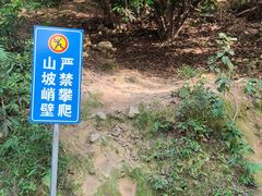 -黄埔油麻山森林公园