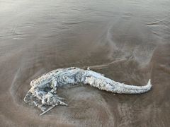 -嵊泗基湖沙滩