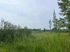 -野鸭湖国家湿地公园