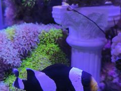 -海合安青岛极地海洋公园
