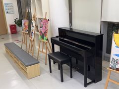 -小荧星艺校(浦东中环分校)