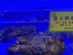 -新海渔港·胶东海鲜家常菜·家宴(奥体中心店)