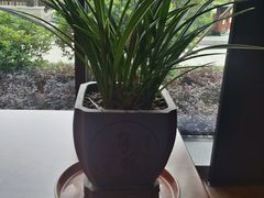 -三宝大饭店-中和艺素餐厅(浦上金山正祥广场店)