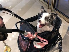 -M Stand(BFC外滩金融中心店)