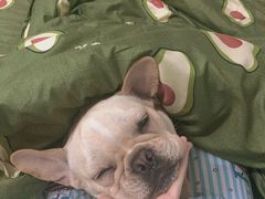 -名创优品(广东省广州琶洲保利广场店)