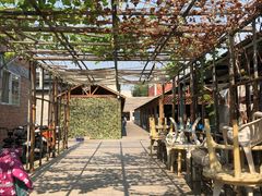 -亲兄弟真人CS团建拓展基地