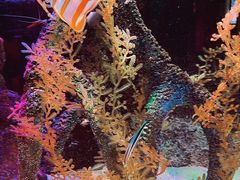 -沈阳海洋探索中心