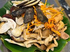 -野菌园·野生菌火锅首创第一家(关兴路总店)