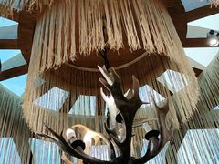 -诺敏塔拉奶茶-布里亚特包子-手把肉(锦都会店)