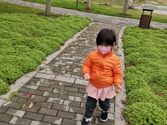 -后襄河公园
