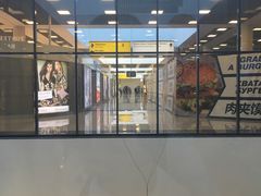 -谢列梅捷沃国际机场