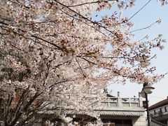 -西安青龙寺遗址景区
