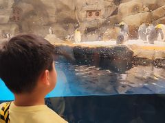 -香港海洋公园