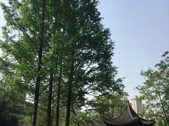 -重庆彩云湖湿地公园